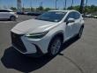 2023 LEXUS NX 350h Luxury SUV