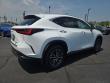 2026 LEXUS NX 350 Base Sport Utility