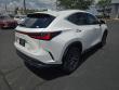 2025 LEXUS NX 350 Base SUV