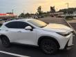 2025 LEXUS NX 350 Base SUV