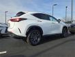 2026 LEXUS NX 350 Base WG