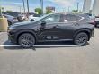 2026 LEXUS NX 350 Base Sport Utility