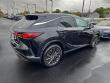 2025 LEXUS RX 350h Luxury WG