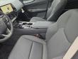 2026 LEXUS NX 350 Base Sport Utility