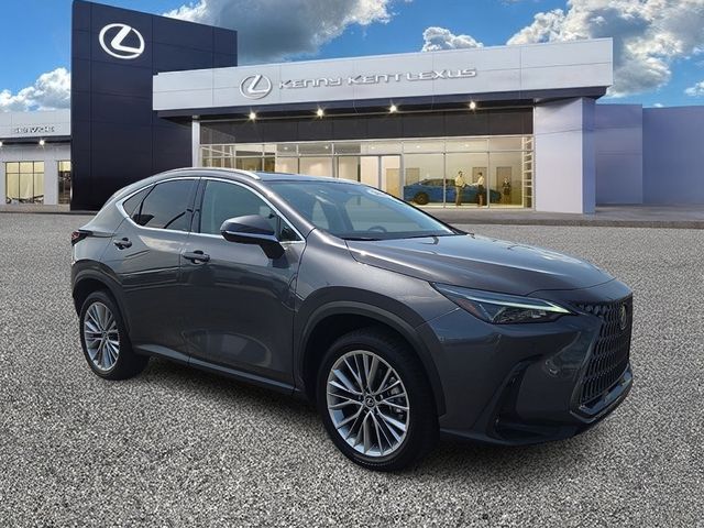 Cloudburst Gray 2026 Lexus NX SUV / Crossover All-Wheel Drive 8-Speed Automatic