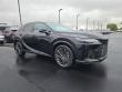 2025 LEXUS RX 350h Luxury WG