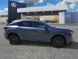 2025 LEXUS RX 350 Premium WG