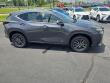 2026 LEXUS NX 350 Base Sport Utility