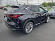 2026 LEXUS NX 350h Luxury Sport Utility