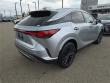 2025 LEXUS RX 350 Premium WG