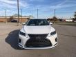 2021 LEXUS RX 350 SUV