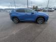 2025 LEXUS NX 350 Base SUV
