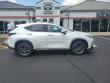 2024 LEXUS NX 350h Base SUV