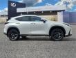 2025 LEXUS NX 450h+ Luxury WG