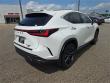 2025 LEXUS NX 450h+ Luxury WG