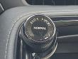 2024 LEXUS NX 350 Premium SUV