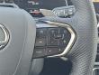 2025 LEXUS TX 500h F Sport Premium WG