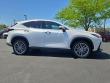 2023 LEXUS NX 350h Luxury SUV