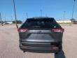 2025 Toyota RAV4 XLE SUV