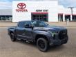 2023 Toyota Tundra Hybrid TRD Pro Truck CrewMax