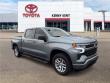2025 Chevrolet Silverado 1500 RST Truck Crew Cab