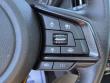 2024 Subaru Forester Wilderness SUV