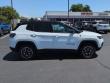 2025 Jeep Compass Trailhawk SUV
