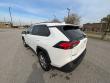 2025 Toyota RAV4 XLE SUV