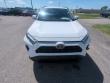 2025 Toyota RAV4 XLE SUV