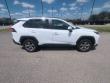 2025 Toyota RAV4 XLE SUV