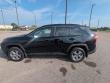 2025 Toyota RAV4 XLE SUV