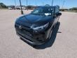 2025 Toyota RAV4 XLE SUV