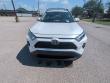 2025 Toyota RAV4 XLE Premium SUV