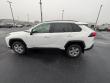 2025 Toyota RAV4 XLE SUV