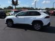 2025 Toyota RAV4 XLE SUV