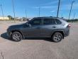 2025 Toyota RAV4 XLE SUV
