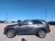 2025 Toyota RAV4 XLE SUV