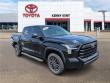 2023 Toyota Tundra SR5 Truck CrewMax
