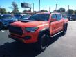 2023 Toyota Tacoma TRD Pro Truck Double Cab