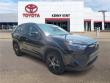2025 Toyota RAV4 XLE SUV