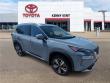 2023 Nissan Rogue Platinum SUV