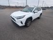 2024 Toyota RAV4 XLE SUV