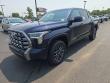 2026 Toyota Tundra Platinum Truck CrewMax