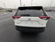 2025 Toyota RAV4 XLE SUV
