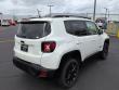 2019 Jeep Renegade Latitude SUV