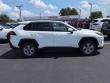 2025 Toyota RAV4 XLE SUV