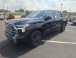 2026 Toyota Tundra Platinum Truck CrewMax