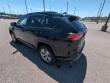 2025 Toyota RAV4 XLE SUV