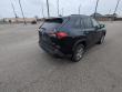 2025 Toyota RAV4 XLE SUV