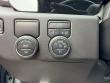 2025 Chevrolet Silverado 1500 RST Truck Crew Cab